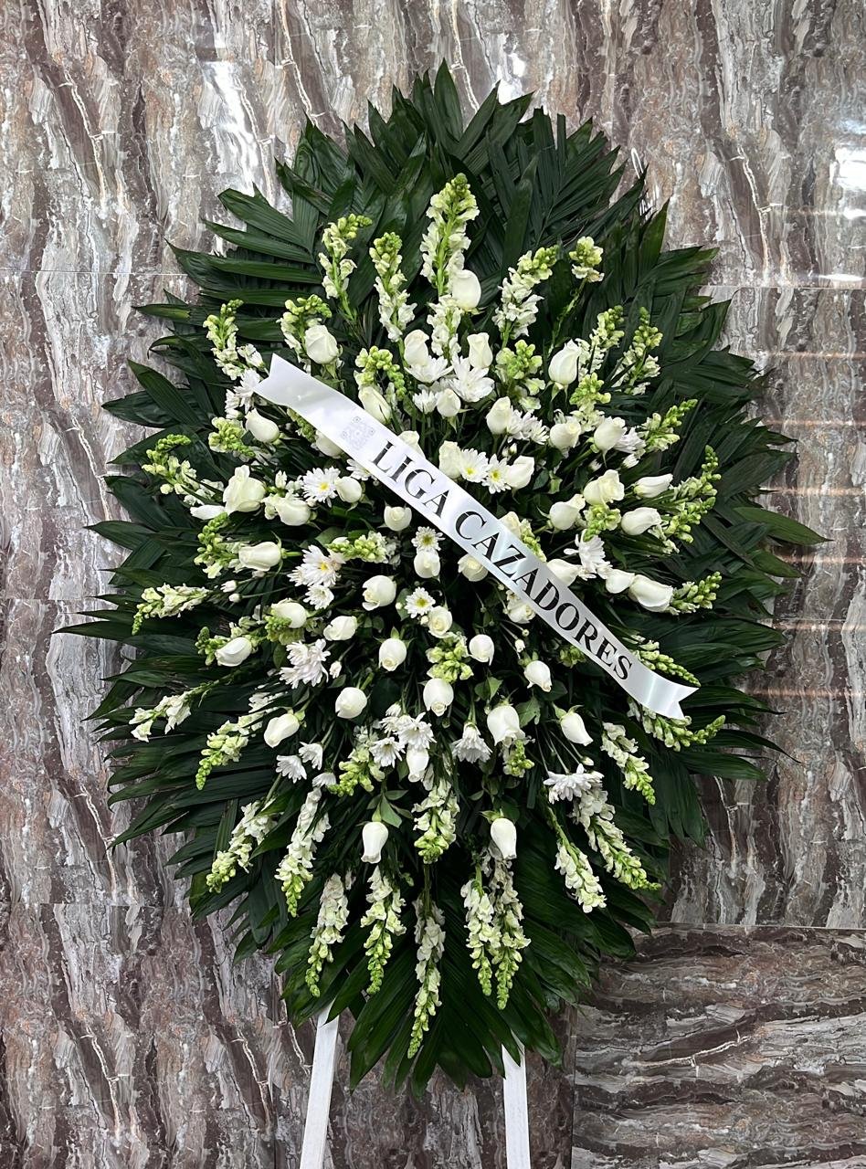 Corona Edén
